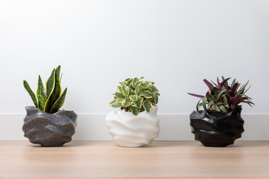 Planters Inspired By Creativity & Design
